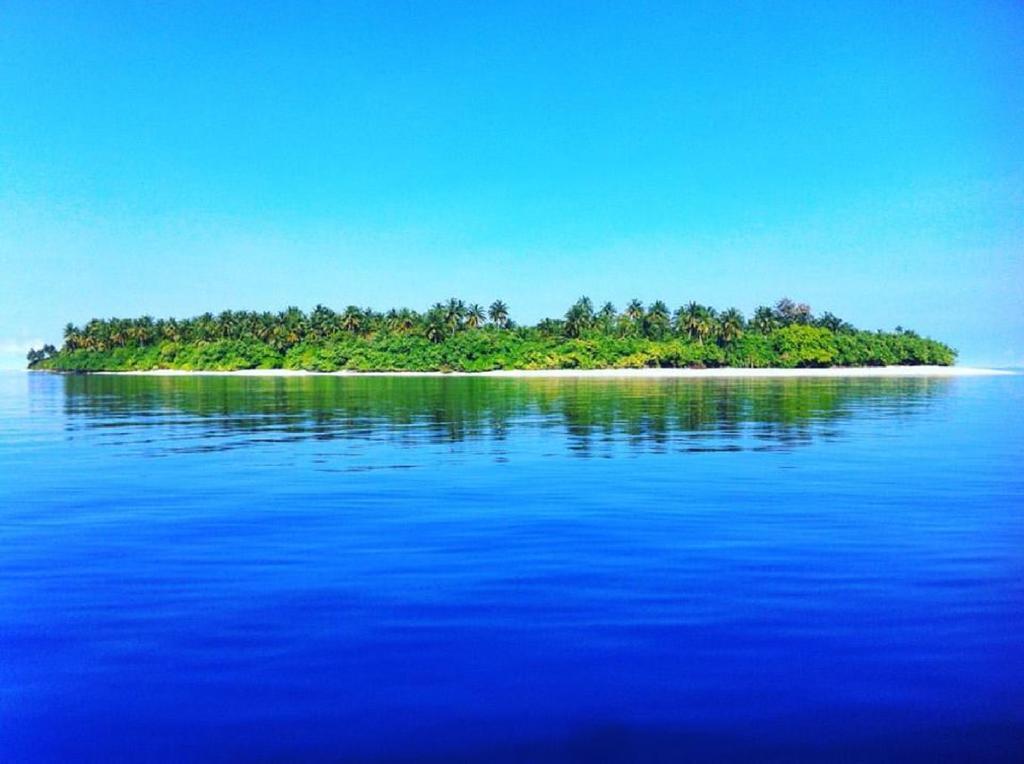 Feridhoo Inn Bagian luar foto