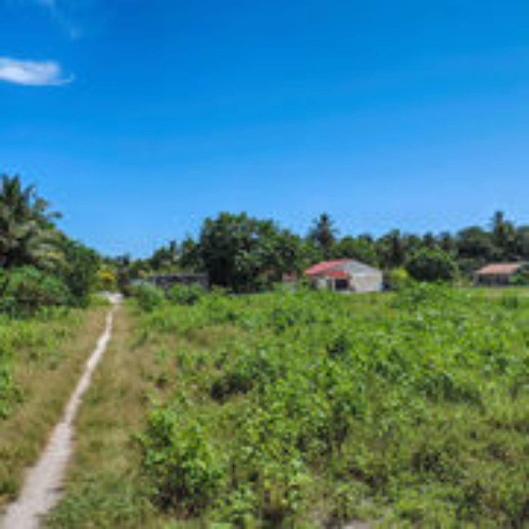 Feridhoo Inn Bagian luar foto