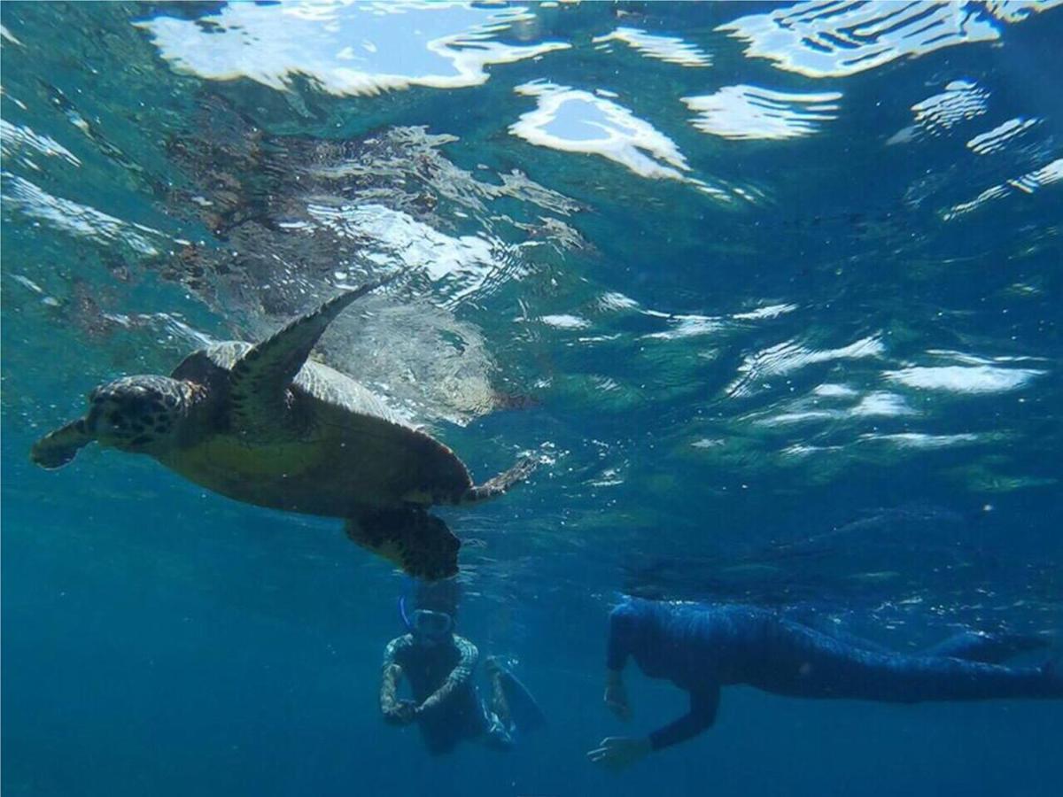 Feridhoo Inn Bagian luar foto